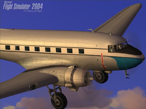 《模拟飞行2004英文免安装版》