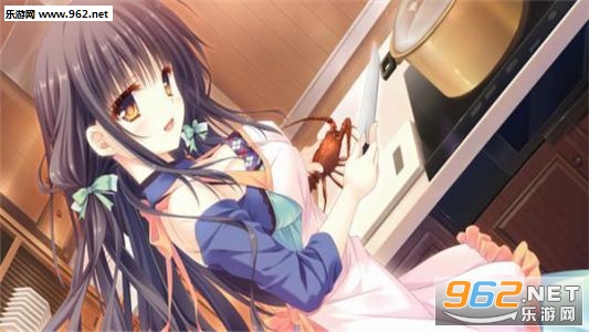 《少女领域汉化硬盘版》 《少女领域汉化硬盘版》
